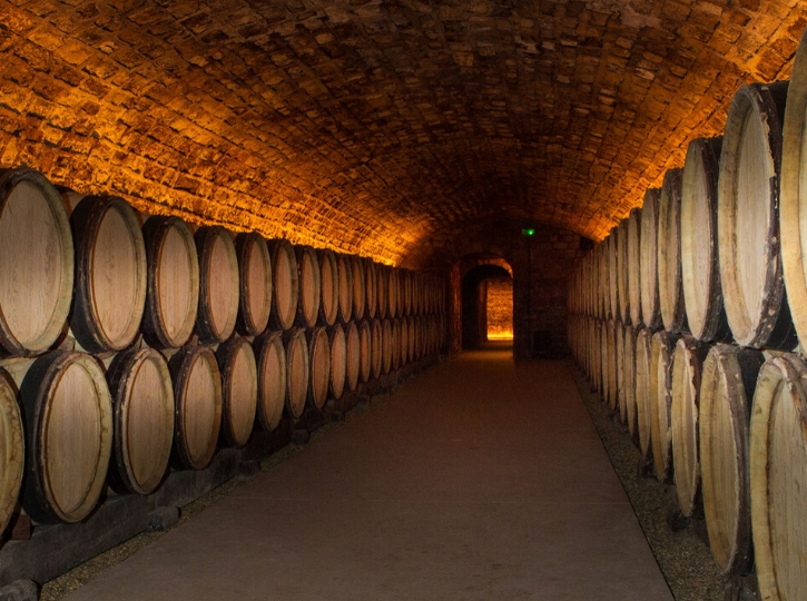 Weekend spécial Vente des Vins des Hospices de Beaune > La Grande Cave